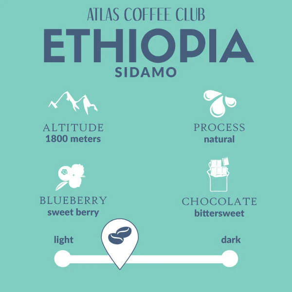 6oz bag of Ethiopia - Image 3