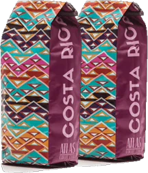 Atlas Subscription - Image 4